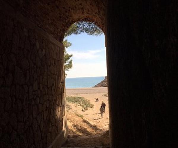 Get Wallpaper Pack Naturista Coneixer La Platja Del Torn Terres De Mestral For Free